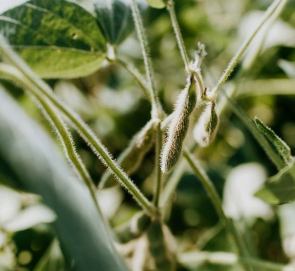 VANTAGE WINS THREE 2025 C&T ALLĒ AWARDS FOR INGENUITY IN RESEARCH & DEVELOPMENT FOR BEAUTY AND PERSONAL CARE APPLICATIONS