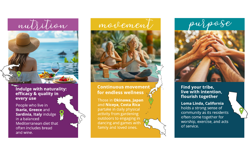 nutrition, movement, purpose